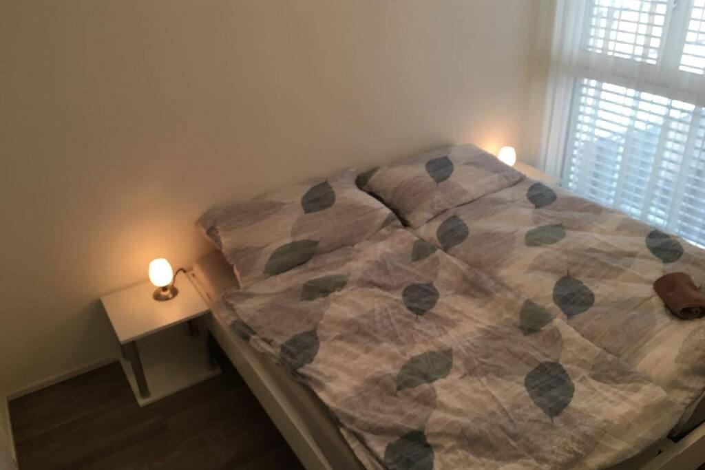 Modern Apartment 모던 펜션 Interlaken Dış mekan fotoğraf