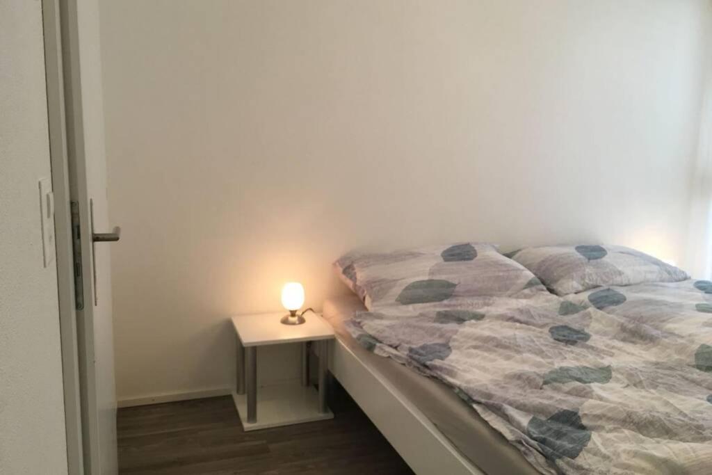 Modern Apartment 모던 펜션 Interlaken Dış mekan fotoğraf